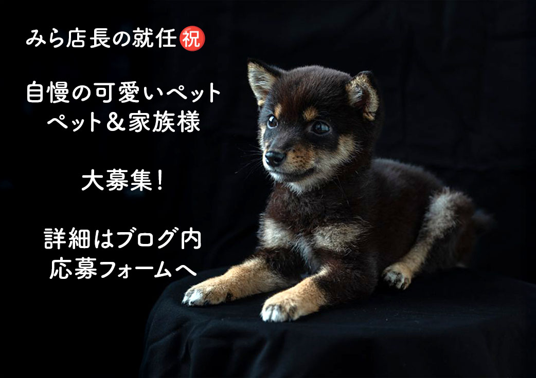 pet